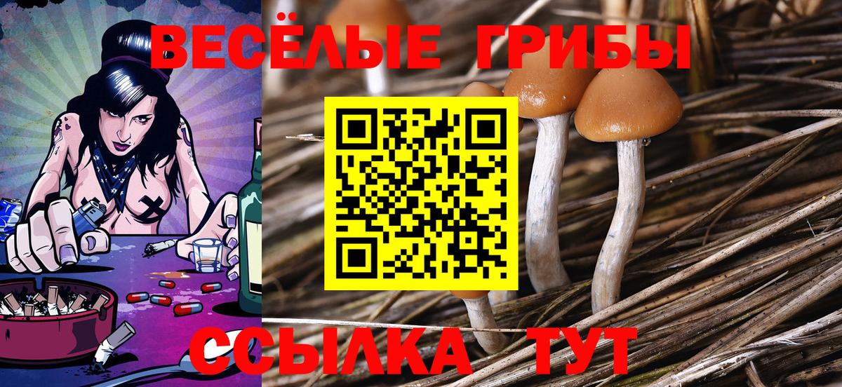 Наро-Фоминск  Галлюциногенные грибы прущие грибы  Вход с VPN 