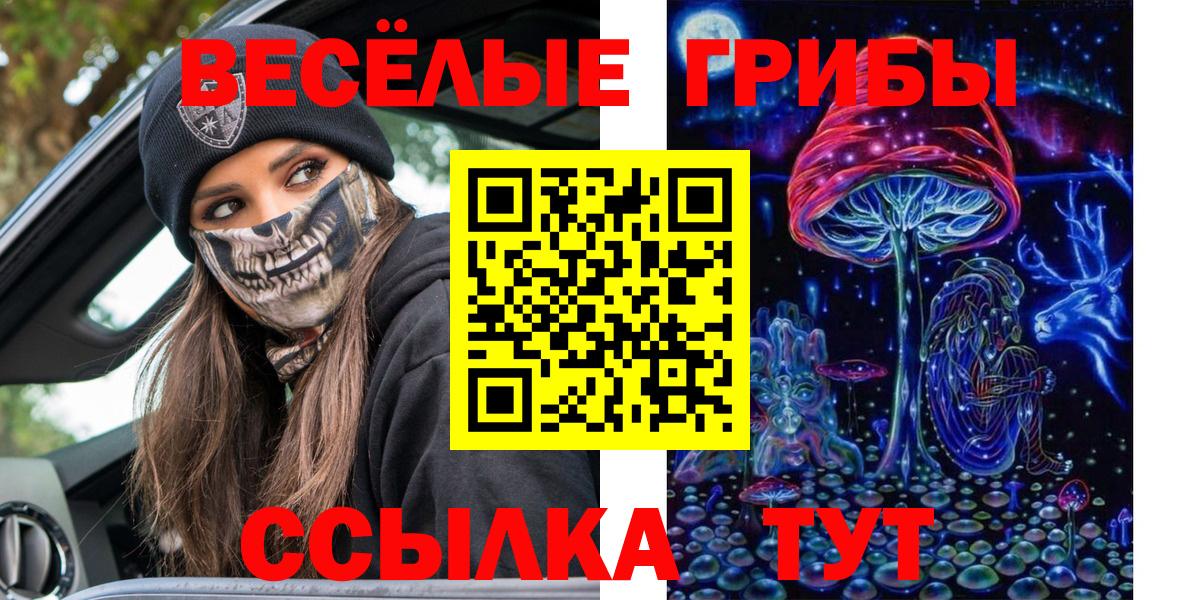Галлюциногенные грибы Psilocybe Наро-Фоминск